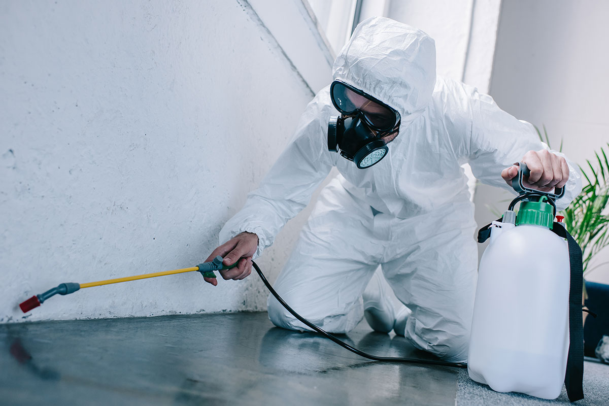 Fly control service image