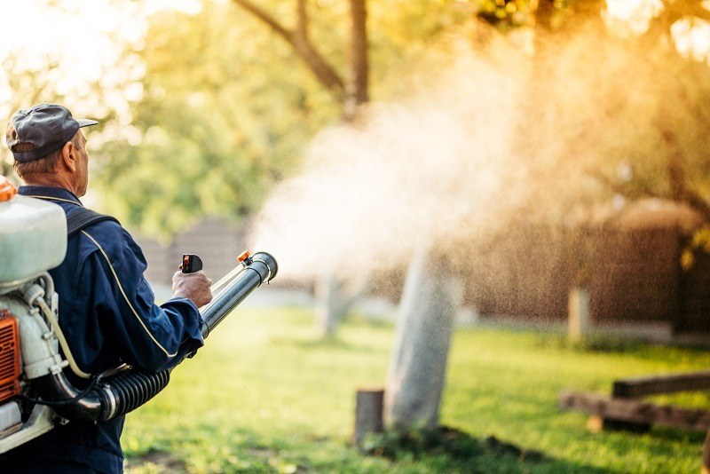 Mosquito control service image