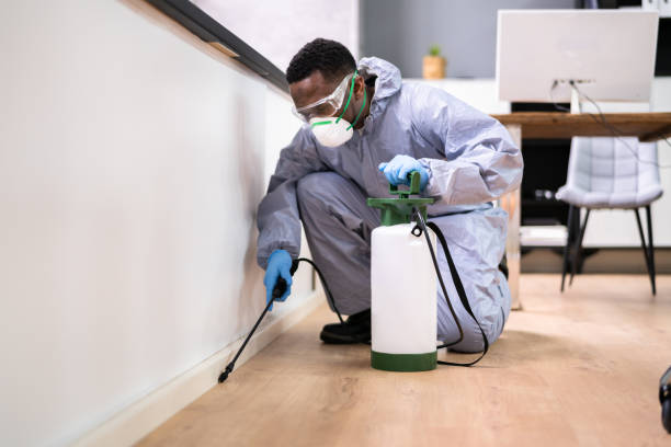 Rodent control service image